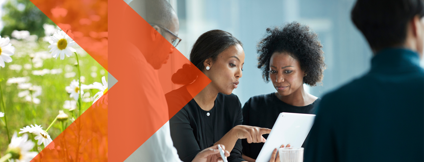 Wildflowers in a field next to a picture of people in an office discussing a proposal. 