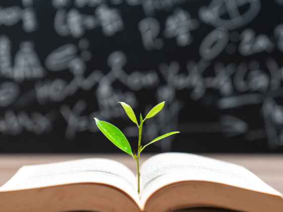 An image of a plant sprouting out of the pages of a book. 
