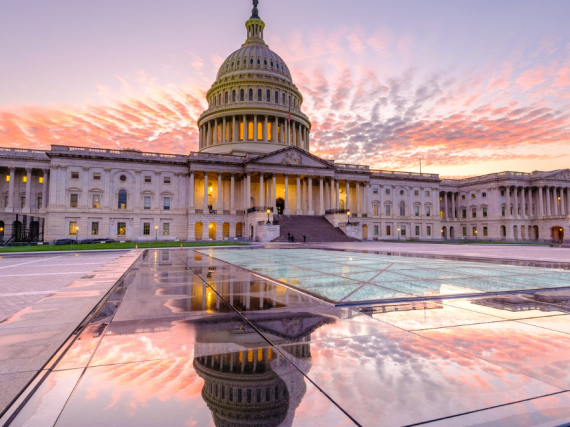 An image of the US Capitol building from the outside with a pink and purple sunset in the background.